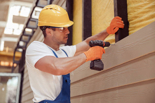 Best Custom Trim and Detailing for Siding  in Stevenson, AL